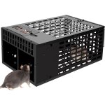 Asfasfq - piège à souris, piege a rat double zone d'appât, attrape souris réutilisables, sans danger ... Asfasfq - piège à souris, piege a rat double zone d'appât, attrape souris réutilisables, sans danger ...