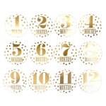 Autocollants mensuelle pour nouveau - né, 12 pièces, femmes enceintes de 1 a 12 mois, jalons, mémoire, ... Autocollants mensuelle pour nouveau - né, 12 pièces, femmes enceintes de 1 a 12 mois, jalons, mémoire, ...