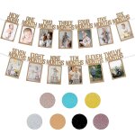 Banni�re photo pour les etapes cl�s de la croissance de b�b� (12 mois) - marron