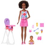 Barbie family & friends doll and accessories