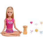 Barbie mindful moves