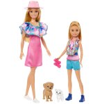 Barbie - and stacie to the rescue - coffret poup�es stacie et