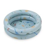 Bassin de baignoire pour animaux de compagnie dinosaure en pvc, clture de fosse a balles pour enfants, ...