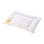 Böhmerwald 169600 - 39 coussin plat pour enfant avec duvet et plumettes 40 x 60 cm (blanc) Böhmerwald 169600 - 39 coussin plat pour enfant avec duvet et plumettes 40 x 60 cm (blanc)
