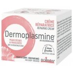 Boiron dermoplasmine cr�me r�paratrice au calendula 20 g