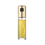 Bouteille d'huile d'olive en verre pour bbq, vaporisateur d'huile de cuisson pour vinaigre, pompe a eau, ... Bouteille d'huile d'olive en verre pour bbq, vaporisateur d'huile de cuisson pour vinaigre, pompe a eau, ...