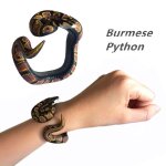 Bracelet de simulation chirurgie tionnel pour enfants, figurine modèle animal en plastique, farce amusante, ... Bracelet de simulation chirurgie tionnel pour enfants, figurine modèle animal en plastique, farce amusante, ...