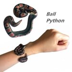 Bracelet de simulation chirurgie tionnel pour enfants, figurine modèle animal en plastique, farce amusante, ... Bracelet de simulation chirurgie tionnel pour enfants, figurine modèle animal en plastique, farce amusante, ...