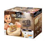 Buki museum dino skull - t - rex