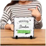 Cadre meilleure doudou de tous les temps id�e bureau cadeau travail d�part retraite coll�gue anniversaire ...