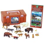 Calorata 3 northern hemisphere mammals & birds real figure box (3 - d illustrated book) (3 - d illustrated ...