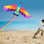 Cerf - volant phnix 3d, animaux d'extrieur, enorme aile, oiseau volant, jouets pour enfants, surf, ...