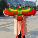 Cerf volant avec poigne en plastique bleu, avec ficelle de 30m sans ligne, perroquet volant oiseau pour ...
