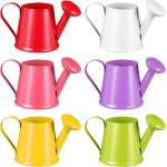 Checarzhn - - no1 - lot de 6 arrosoirs pour enfants - petits seaux d'arrosoir - pour jouer ou util r ...