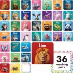 Chenquansarl - 72 pcs jeu de mmoire, jeu de correspondance avec des cartes d'animaux rels pour les ...