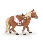 Chevaux, poulains et poneys poney shetland avec selle