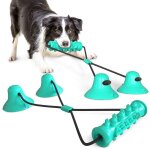 Chien molar bite chew toy corde pull interactive avec ventouse pour tirer le nettoyage des dents a m�cher, ...