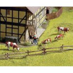 Cltures en bois noch 33010 n - noch