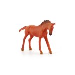 Collection de simulation de poney pour enfants, ornements de bureau, cheval, modèles d'animaux miniatures, ... Collection de simulation de poney pour enfants, ornements de bureau, cheval, modèles d'animaux miniatures, ...