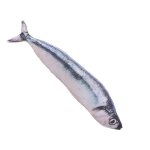 Coussin en peluche unique en forme de poisson ¿ coussin doux pour la dcoration intrieure, jouet pour ...