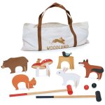 Croquet d'intrieur fort