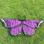 Dguisement ailes de papillon pour enfants, dguisement de fte en tissu, jeu de simulation pour filles ...