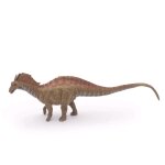 Les dinosaures amargasaurus