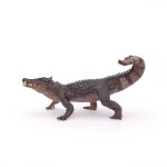 Les dinosaures kaprosuchus Les dinosaures kaprosuchus