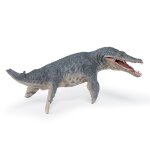 Les dinosaures kronosaurus