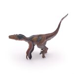 Les dinosaures vélociraptor a plumes Les dinosaures vélociraptor a plumes