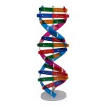 Double duplex modèle dna, accessoire de laboratoire en plastique a assembler soi - même, matériel d'enseigneme ... Double duplex modèle dna, accessoire de laboratoire en plastique a assembler soi - même, matériel d'enseigneme ...