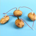 Ensemble scientifique bio - energie pour enfants, pommes de terre et fruits, alimentation en electricit�, ...