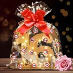 Ershi - cadeau d'anniversaire pour fille et garon - avec guirlande lumineuse led - livre d'or 16e anniversair ...