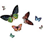 Ershi - set de table rio papilio - lavable - plastique pvc vinyle dessous assiette - 29 cm x 44 cm rectangulai ...