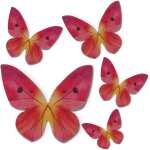 Eryi - - 79 papillons dcoratifs 3d comestibles - dcoration de gteau d'anniversaire facile a faire ...