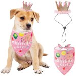 Evago chien anniversaire bandana chapeau ensemble, chien d'anniversaire fte fournitures chien bandana ...