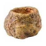 Exo terra bol serpent