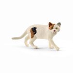 Farm world chat am�ricain shorthair