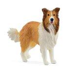 Farm world chien colley Farm world chien colley
