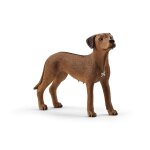 Farm world chien de rhod�sie � cr�te dorsale