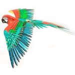 Fascinations iconx jubilee macaw parrot 3d metal model kit