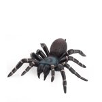 Fausse araigne raliste, modle d'action, figurines d'insectes, jouets pour enfants, accessoires de ...