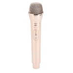 Faux accessoire de microphone pour enfants, abs, simulation de la pratique de la parole, jouet pour costume ...