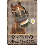 Few - plaque en etain vintage cheval en métal funny retro hello sweet cheeks décoration murale en métal ... Few - plaque en etain vintage cheval en métal funny retro hello sweet cheeks décoration murale en métal ...