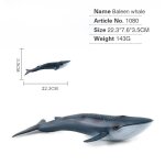 Figurines d'action animaux marins, requin, tortue, hippocampe, poulpe, calmar, vie oc�anique, jouet educatif ...