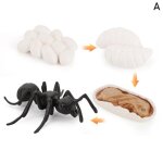 Figurines d'animaux de simulation du cycle de vie, grenouille, fourmi, moustique, tortue de mer, poulet, ...
