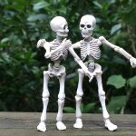 Figurine artificielle, squelette de cr�ne humain, squelette de m. bones, mod�le humain, cr�ne complet, ...