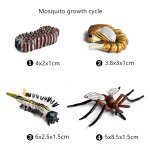 Figurines de croissance de coq pour enfants, modle miniature, simulation d'animaux, statue d'ducation ...