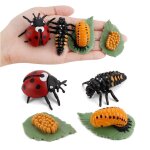 Figurines de cycle de croissance en plastique, jouet educatif pour enfants, simulation d'animaux, abeille, ...