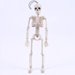 Figurines humaines squelette cool, modle de monsieur marie, crne, jouet de corps, nouveaut d'halloween, ...
